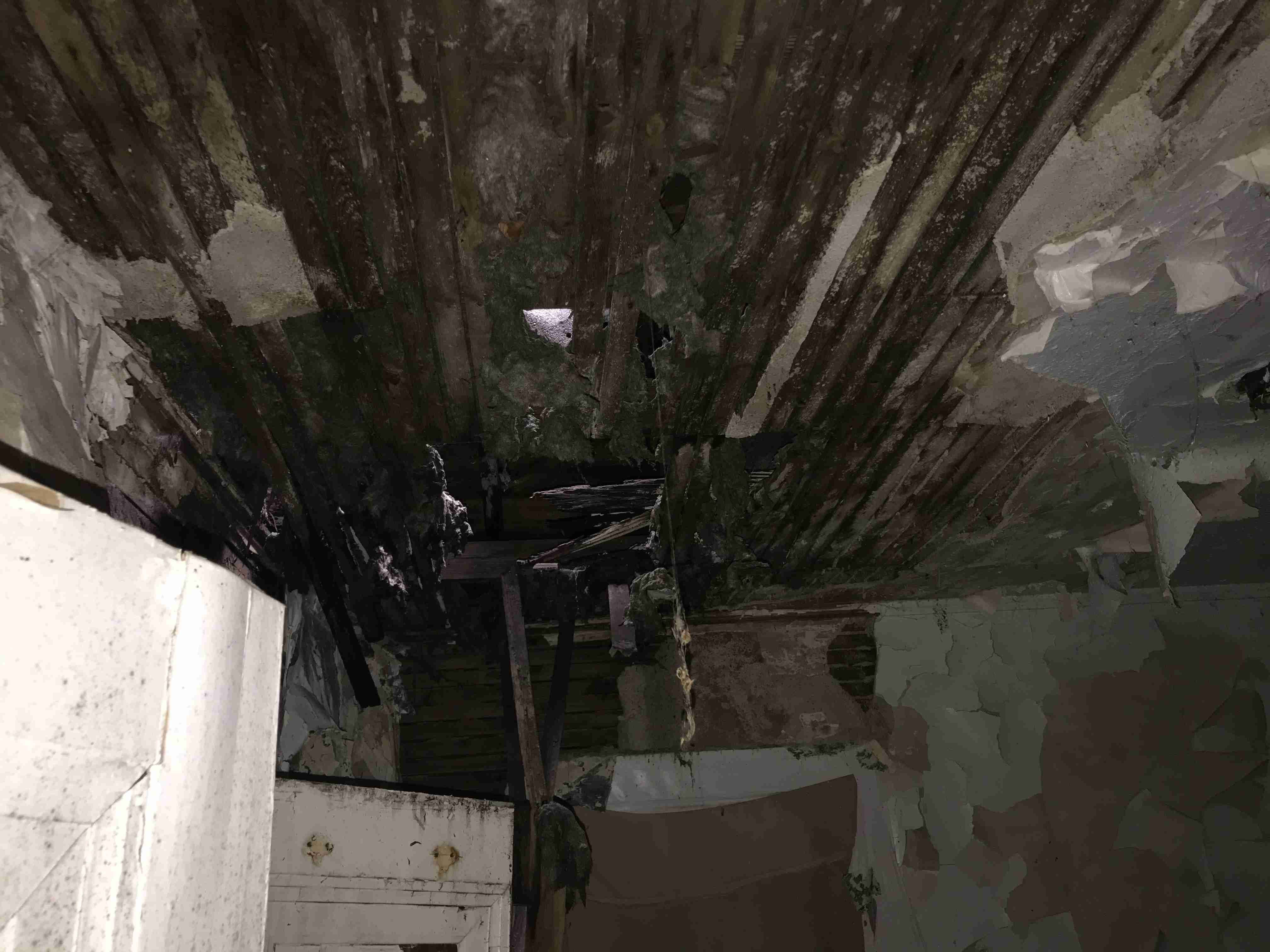 Photo Sep 10, 3 38 38 PM.jpg